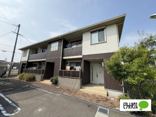 �A�R�[���_�O �O�ώʐ^