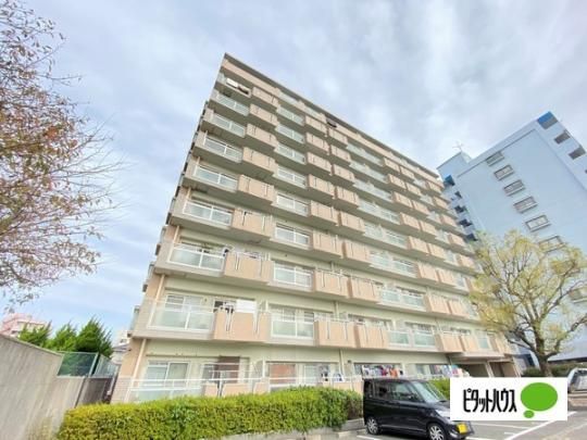 ���}�C�`PLAZA�T���V�e�B�L�� �O�ώʐ^