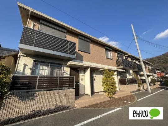 �V���[���]���I�O�䎛�U �O�ώʐ^