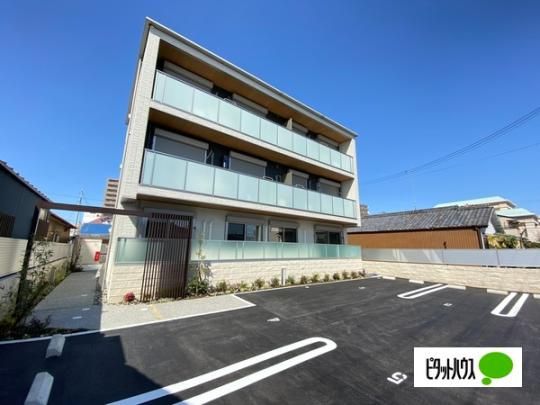 BEREO�@Horizonte�@�؍L �O�ώʐ^