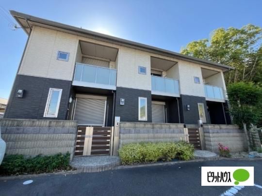 �V���[���]�����C�����q���Y�W �O�ώʐ^