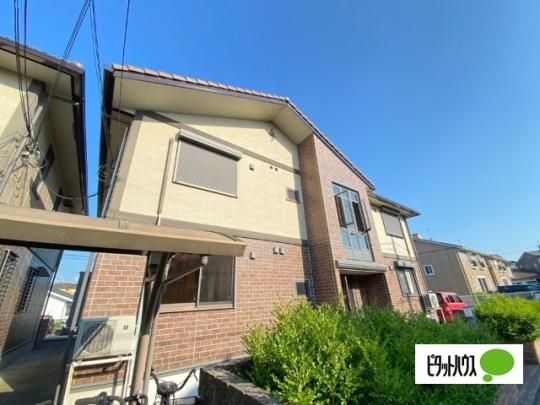 �E�B�����A�E���b�V�F�@�a�� �O�ώʐ^