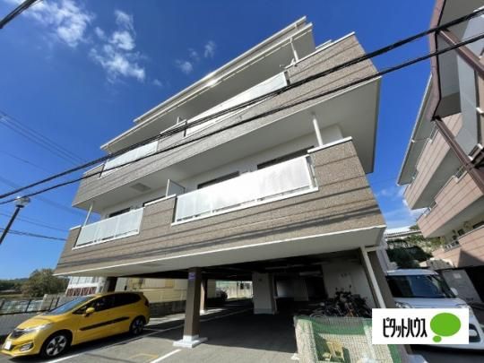 �G�N�V�[�h�I��B�� �O�ώʐ^