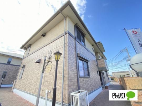 �V���t�H�j�[�^�E���V�@F�� �O�ώʐ^