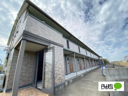 �\���A�[�h�� �O�ώʐ^