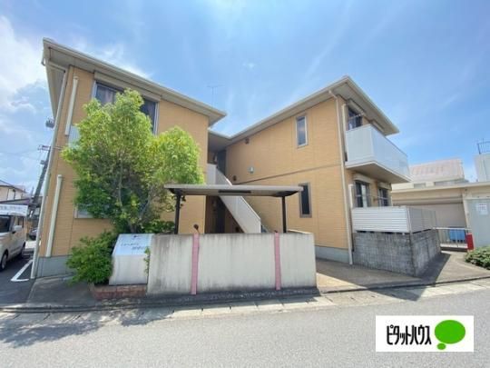 �V���[���]���c���� �O�ώʐ^