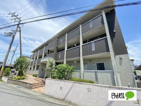 �T�E�X���]���G�[�f�����C�X �O�ώʐ^