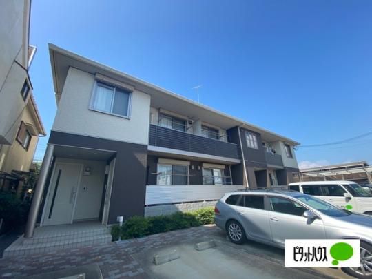 �V���[���]��Leaves �O�ώʐ^