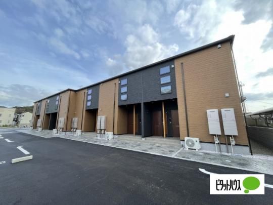 �U�E�r���b�W�O���[���؃m�{�T �O�ώʐ^