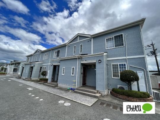 ���}�l�R���e�B�V �O�ώʐ^