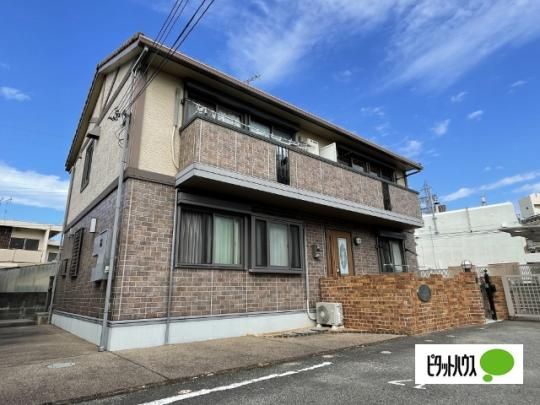 �Z�W���[�����i���G �O�ώʐ^