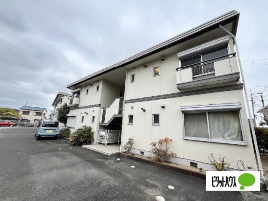 �t�H�[�u���؃m�{ �O�ώʐ^