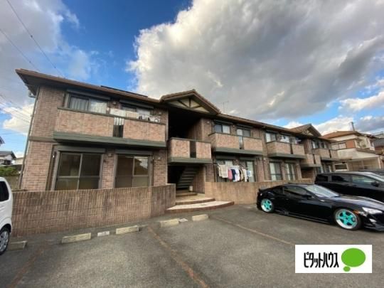 �T�����B���b�W�c�K�@�`�� �O�ώʐ^