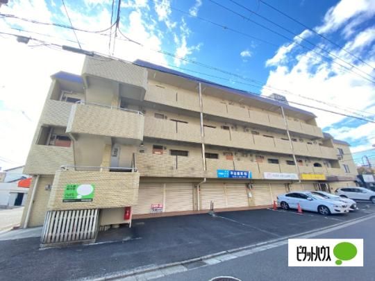 ��Q�Ђ炽�p�[�N�n�C�c �O�ώʐ^