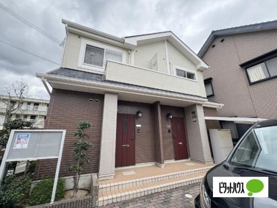 �\���A�[�h�p���P�V �O�ώʐ^