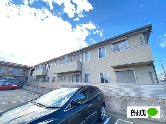 �V���[���]���k�o�� �O�ώʐ^