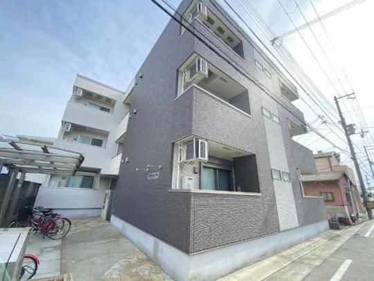 �t�W�p���X�s�w���U�Ԋ� �O�ώʐ^