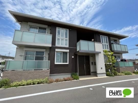 �V���[���]���l�h�r�`�@ �O�ώʐ^