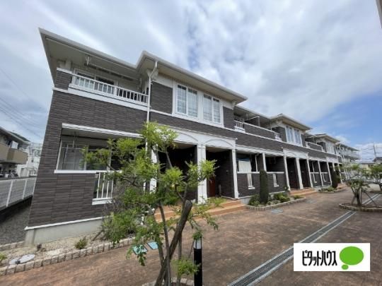 �t�B�I�[���@�U �O�ώʐ^