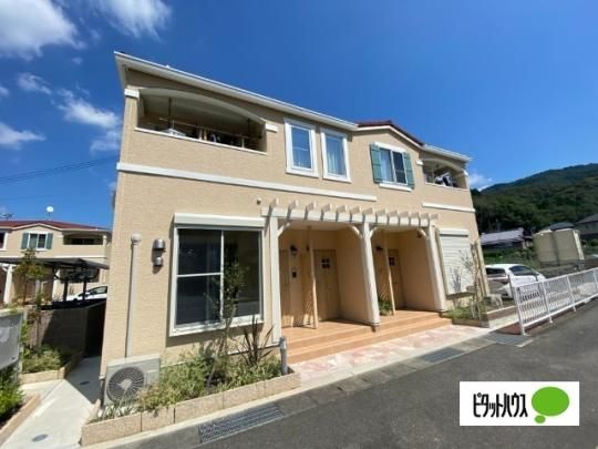 �X�J�C�v���l�b�g�T �O�ώʐ^