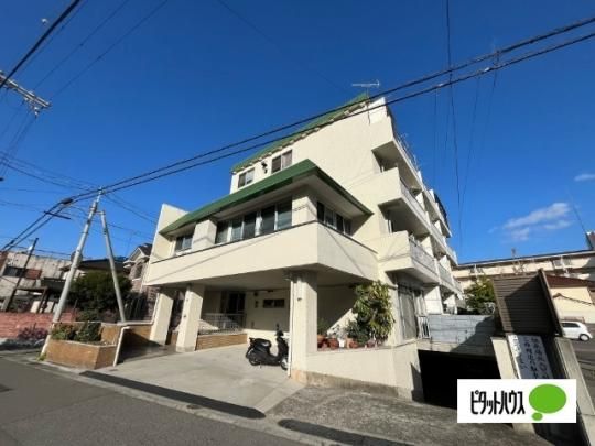 �R�[�|�I�̍� �O�ώʐ^