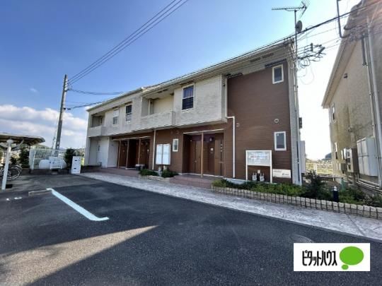 �R�[�g�W���l�X�@�X �O�ώʐ^