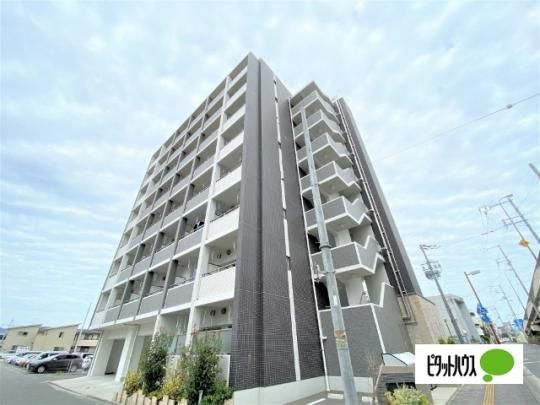 ���W�f���X�s�j�@�g�c �O�ώʐ^