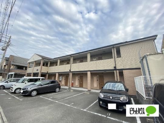 �A�[�o���p���X���V�� �O�ώʐ^