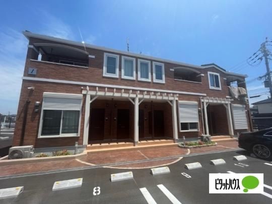 �R�[�l���A���l�T �O�ώʐ^