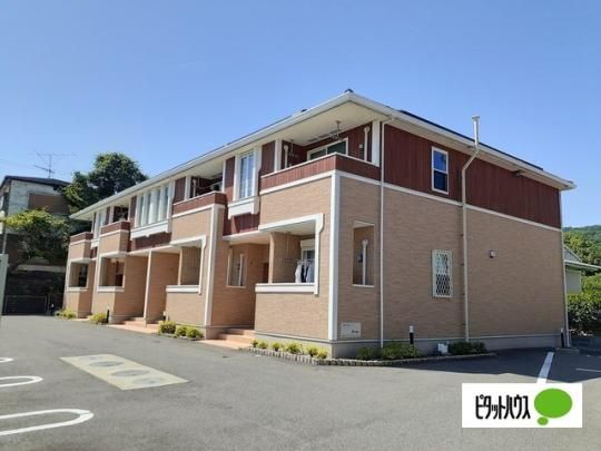 �V���m�A�[�������� �O�ώʐ^