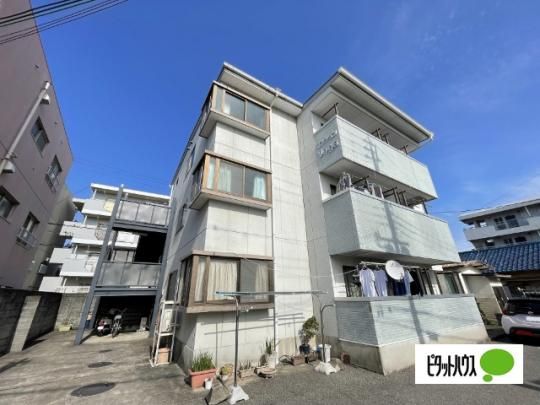 �}���V����Vega �O�ώʐ^