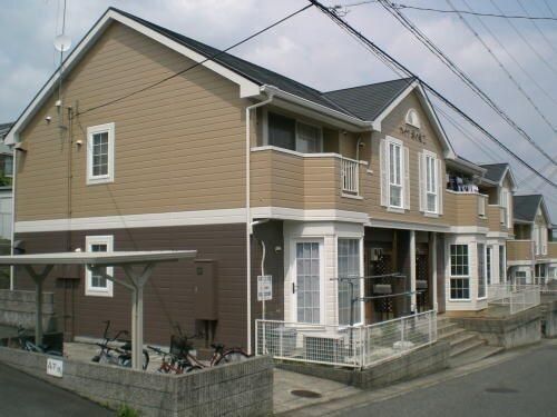 �n�C�c�`�̎��U �O�ώʐ^