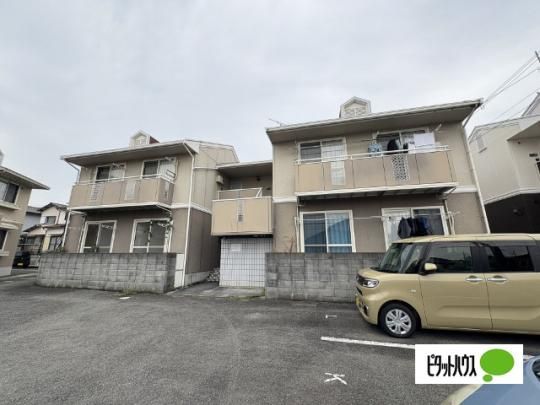 �Z�W���[���M�\�n�U �O�ώʐ^