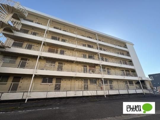 �Z���g�����}���V���� �O�ώʐ^