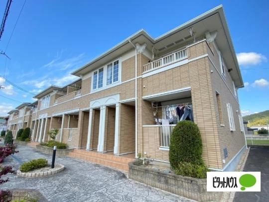 �v�����h�[���@�Q �O�ώʐ^