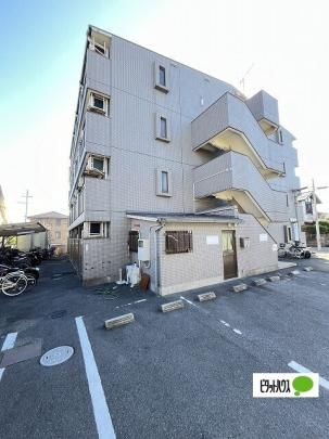 �I�[�e�B�n�C�c���c �O�ώʐ^