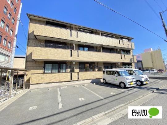 sereno ciZ[m N_j Oώʐ^