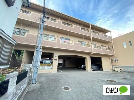 �G�X�e�[�g���� �O�ώʐ^