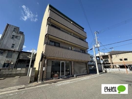 �߂��݃n�C�c �O�ώʐ^