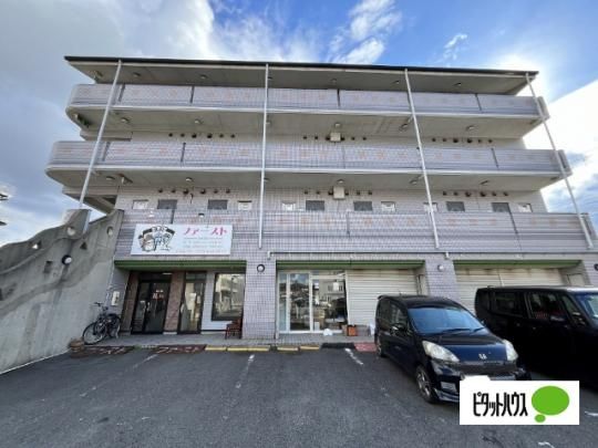 ���B���͐� �O�ώʐ^