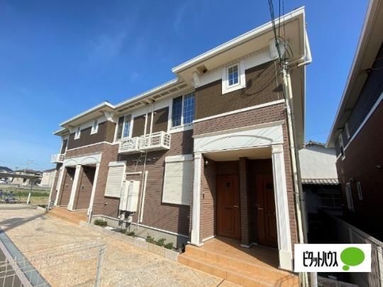 �N���A�R�[�g�@�V �O�ώʐ^