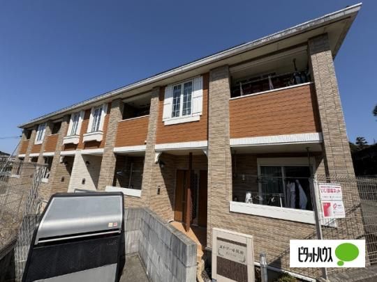 �G�g���[�����R �O�ώʐ^