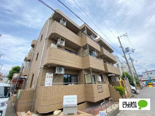 �V�����}���t�W�a�̎R�Q�Ԋ� �O�ώʐ^