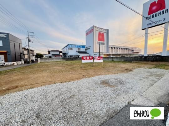 �a�̎R�s�o���ݓy�n �O�ώʐ^