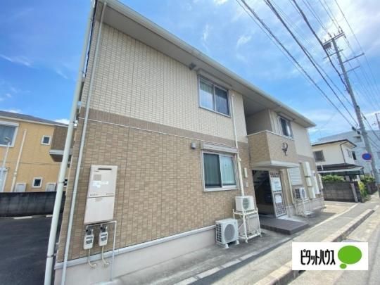 ���]���E�h�E�A���W�� �O�ώʐ^