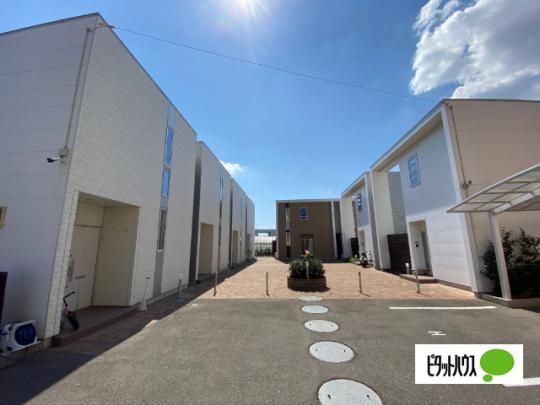 �J�T�E�x���f�U �O�ώʐ^