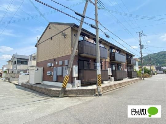 �T�� �t���O�����X �O�ώʐ^