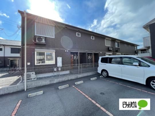 CASSIA ��(�J�b�V�[�A �~�`) �O�ώʐ^