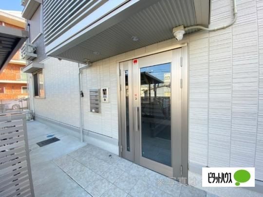 Meliflua���l(�����t���A�j�V�n�}) �O�ώʐ^