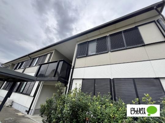 �n�C�c�X �O�ώʐ^